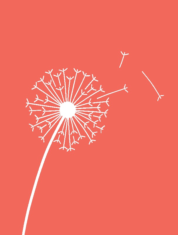 No Final do Corredor